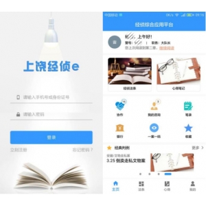 经侦案件辅助系统“经侦综合应用平台”建设方案