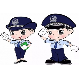 娱乐服务场所治安管理信息系统项目方案